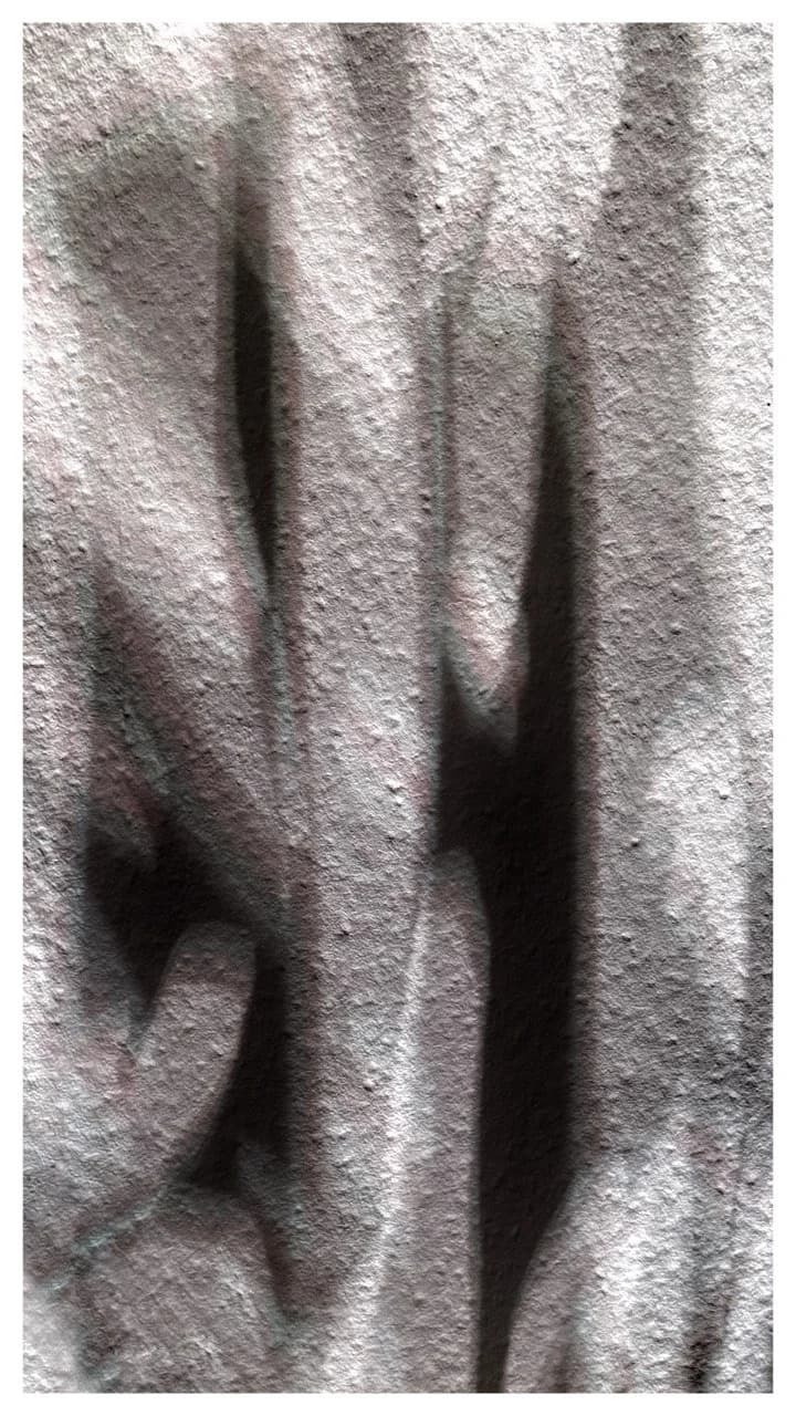photo 2026 03 31 17.18.20